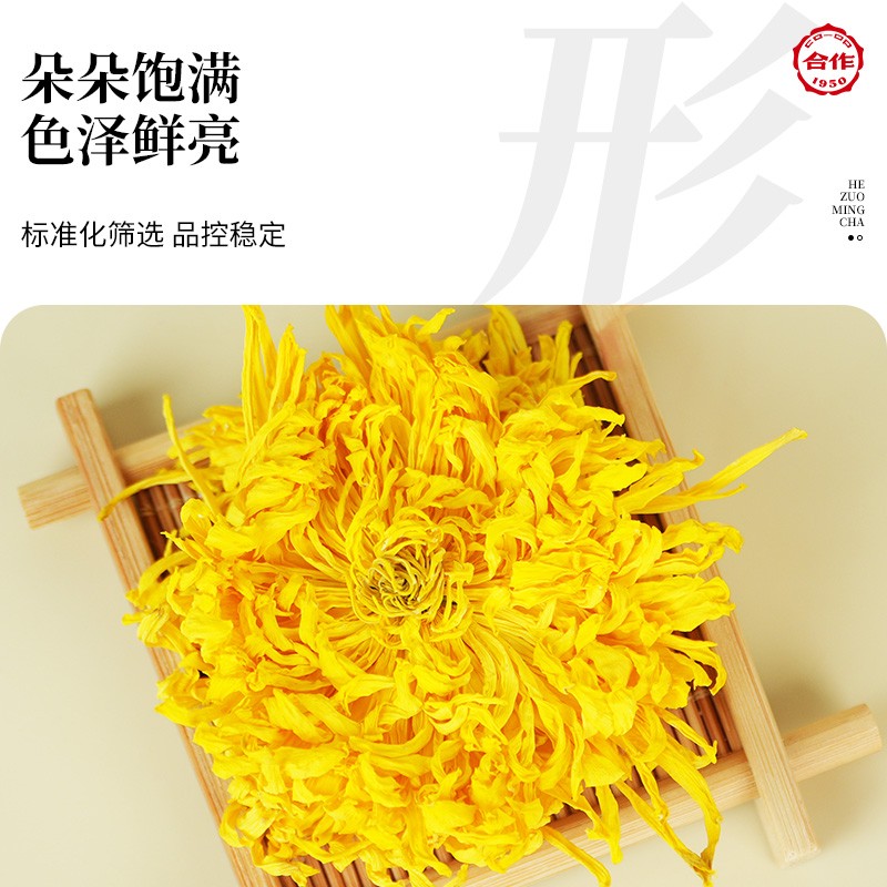 金丝皇菊