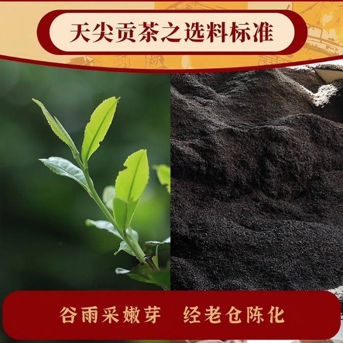 大师庄园乙巳龙珠