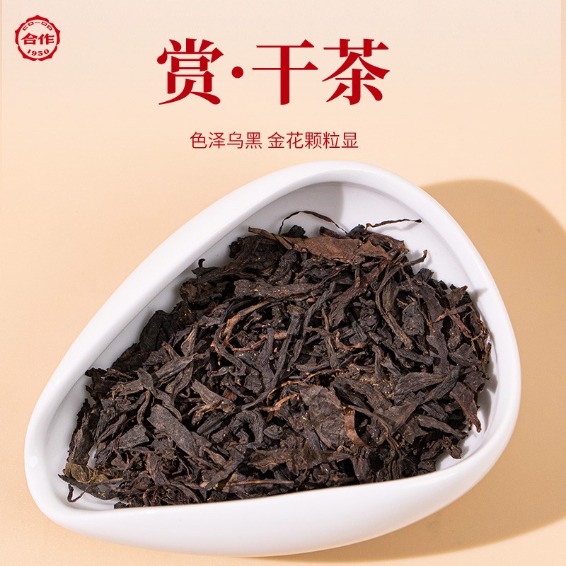 茯禄双全·黑茶茯茶