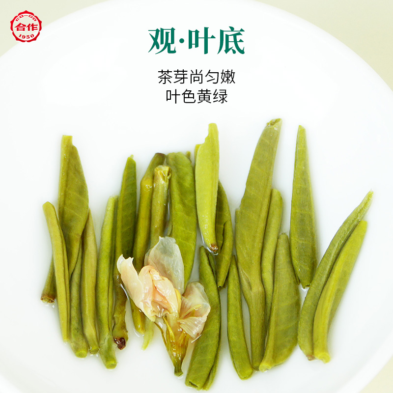 彩罐·月光茉莉