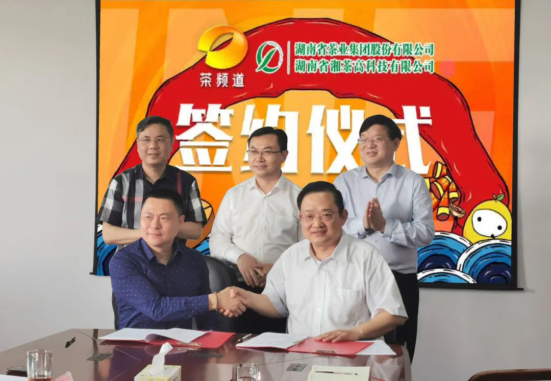 院士见证，轻轻茶发力品牌建设，与茶频道达成深度合作