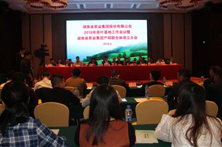  湖南省头号玩家娱乐平台集团2018年茶叶基地工作会议 暨产销联合体成立大会成功召开