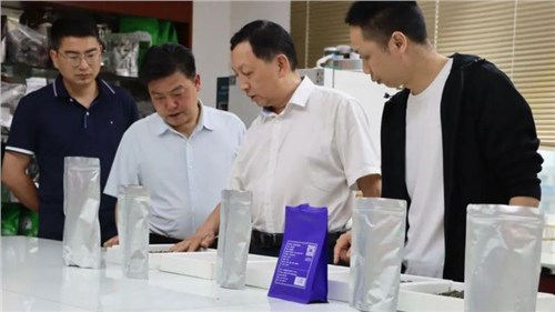 吉首市委副书记李成晚率队到集团潇湘头号玩家娱乐平台考察调研