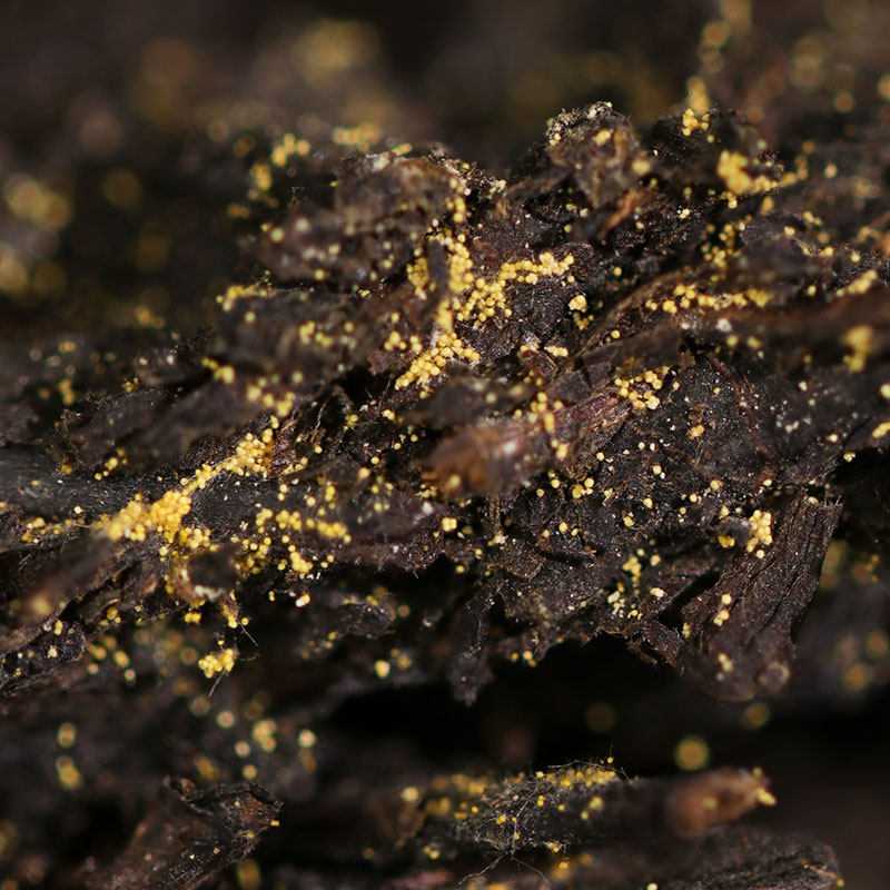 白沙溪安化黑茶金花获砖特级御品获茶318g