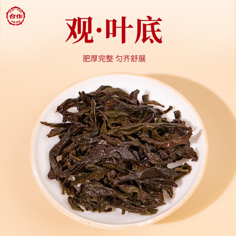 鸿运当头·大红袍