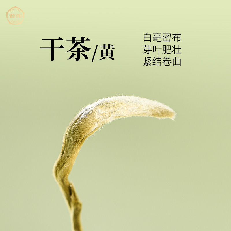 岳阳黄茶