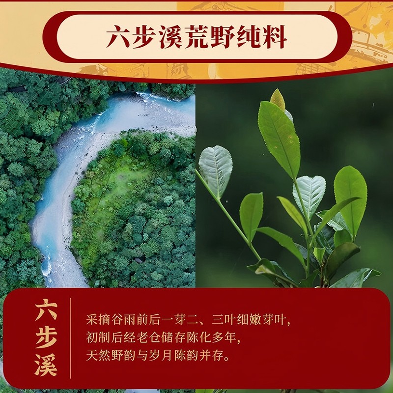 大师庄园乙巳百两茶