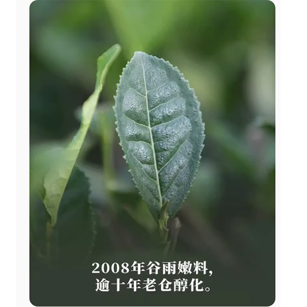 大师印花砖