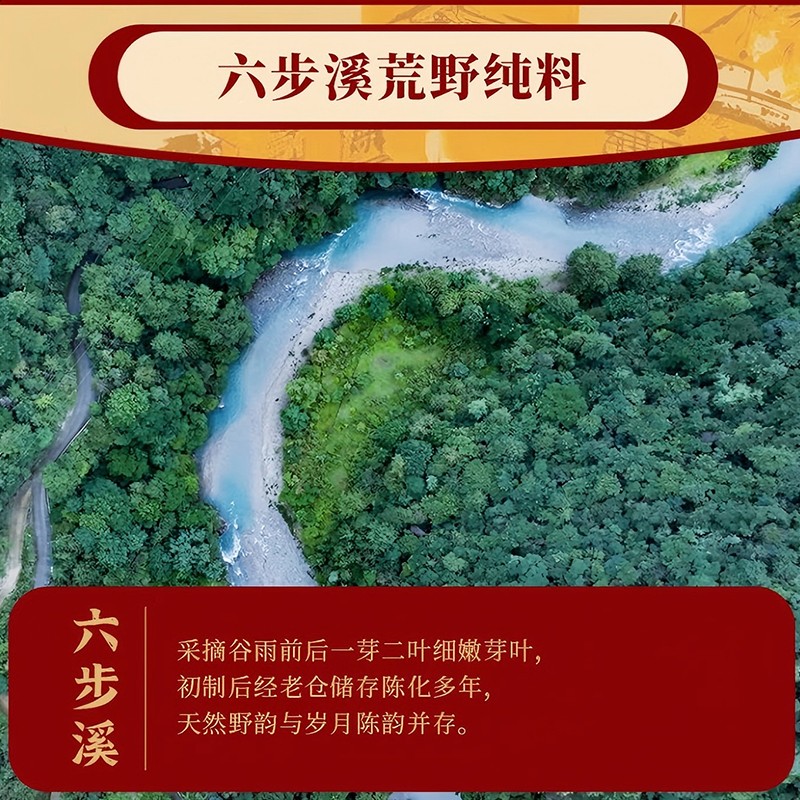 大师庄园乙巳茯砖茶