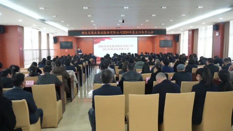 集团公司2024年度总结表彰暨2025年工作动员大会顺利召开