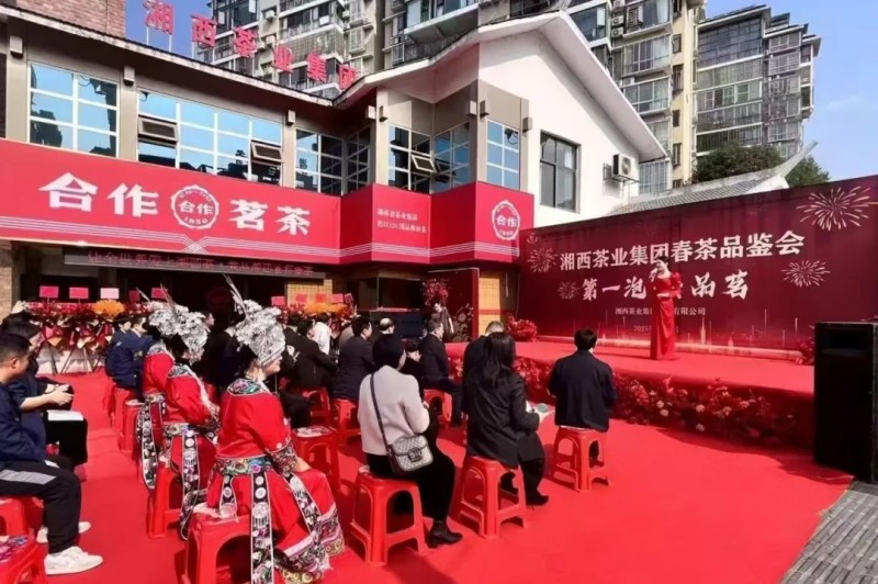 湘西头号玩家娱乐平台集团“湘西第一杯春茶”品鉴会暨集团合作茗茶吉首店开业仪式隆重举行