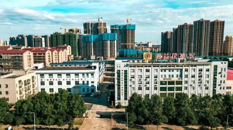 集团益阳茶厂作为益阳市唯一企业入选首批省级非物质文化遗产生产性保护基地彰显非遗传承硬实力