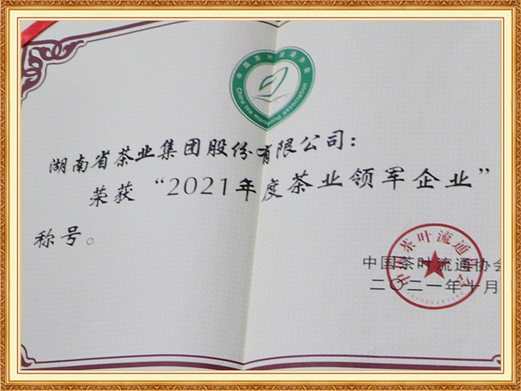 2021年度头号玩家娱乐平台领军企业