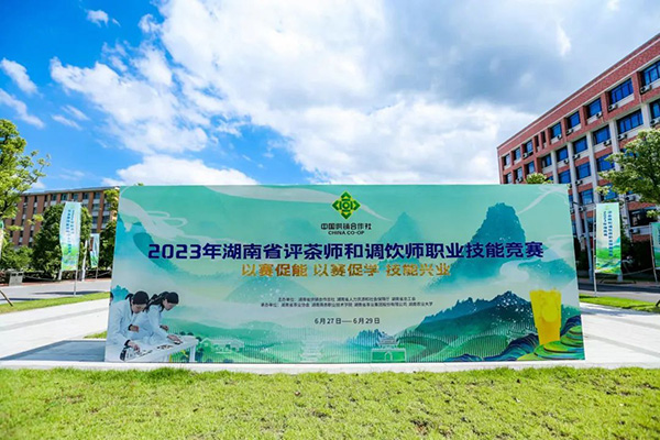 2023年湖南省评茶师和调饮师职业技能竞赛圆满闭幕 省头号玩家娱乐平台集团喜获佳绩